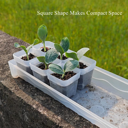 BangQiao 200 Pack 1.95 Inch Tiny Clear Plastic Square Nursery and Seedling Pot, Mini Transplant Seed Starter Planter with Drain Hole for Germination, Herb, Succulent