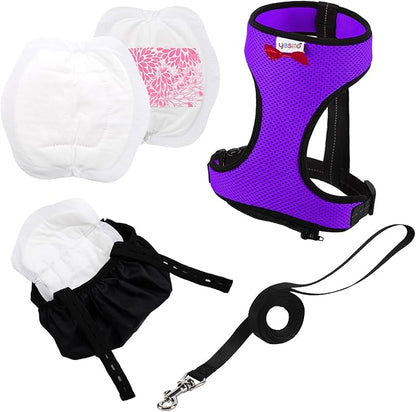 Adjustable Chicken Harness Diaper (5.4ft Leash) – Breathable & Washable Secure Training for Hens, Ducks & Chicks | Outdoor Walking & Discipline Solution