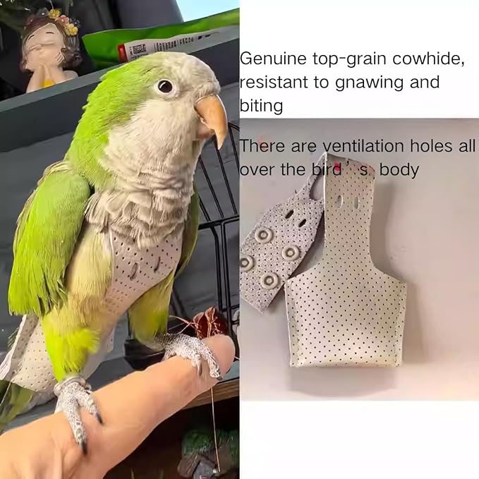 Premium Genuine Cowhide Bird Flight Harness Anti Bite Breathable Parrot Diaper Parrot Suit with Leash for Parakeet Conure Quaker Flying Clothes Rope and Handle (Without Leash,Small)