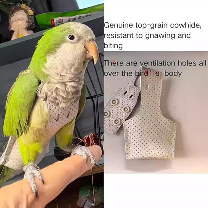 Premium Genuine Cowhide Bird Flight Harness Anti Bite Breathable Parrot Diaper Parrot Suit with Leash for Parakeet Conure Quaker Flying Clothes Rope and Handle (Without Leash,Medium)