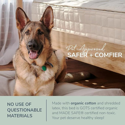 Naturepedic Organic Medium Pet Bed - Super Plush Dog & Cat Beds - Ultra Supportive Dog Bed Mat - Ideal Pet Bed with No Polyurethane Foam - 23" x 17" x 3"