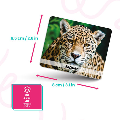 Menique Wild Animals Memory Matching Game – 80 Cards (40 Pairs) with Real Photos – Includes Educational Booklet with Animal Facts – Fun & Cognitive Game for Kids and Adults