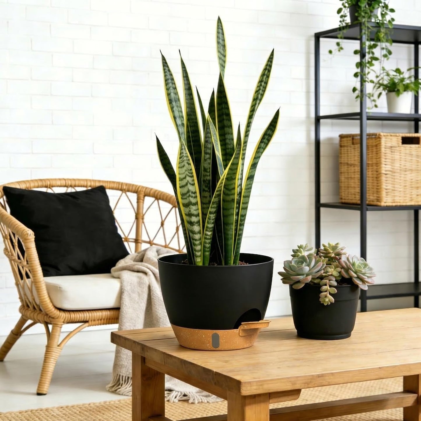 KUGAZ Self Watering Pots with Drainage Holes, 3 Pack 12/10/8 Inch Plant Pots with Water Level Indicator Deep Reservoir, Large Plastic Planter for Indoor Outdoor Plants - Black Brown