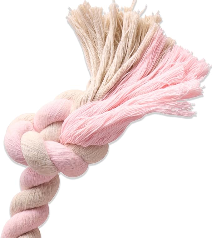 Pet Passion Natural Rubber Tire and Organic Cotton Rope Pull and Chew Dog Toy for All Pet Breeds, Blush, Small