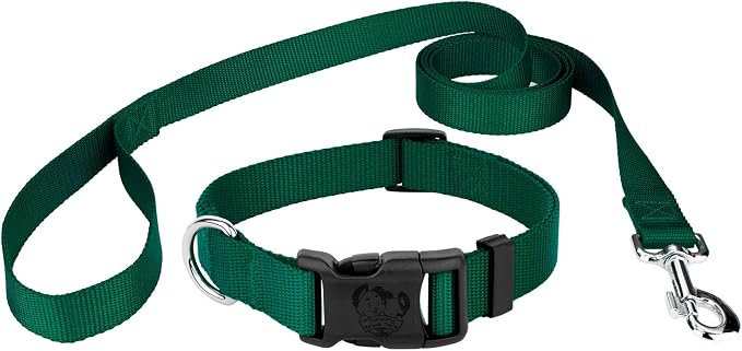 Country Brook Petz - Everyday Nylon Dog Collar and Leash - 10+ Cool Colors (1 Inch, Large, Green)