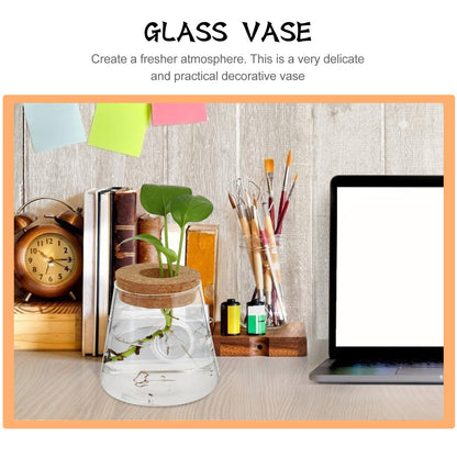 GRIRIW 2pcs Hydroponic Plants Vase Glass Planter Small Desktop Terrarium Container for Water Plant Propagation Home Office Décor