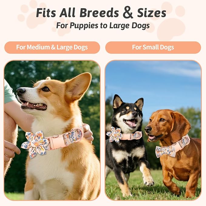 Dog Collar and Leash Set Girls Adjustable Puppy Collars with Floral Bow Tie for Small Medium Large Female Dogs, Orange Flower, M