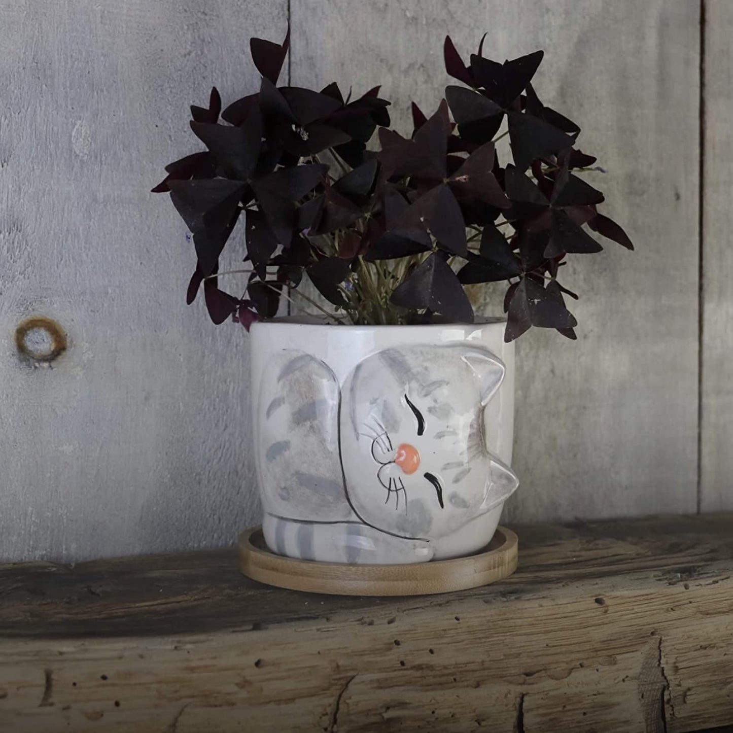 Window Garden Animal - Large Kitty Pot (Barney) Purrfect for Indoor Live House Plants, Succulents, Flowers and Herbs, Super for Cat Lovers, Cat