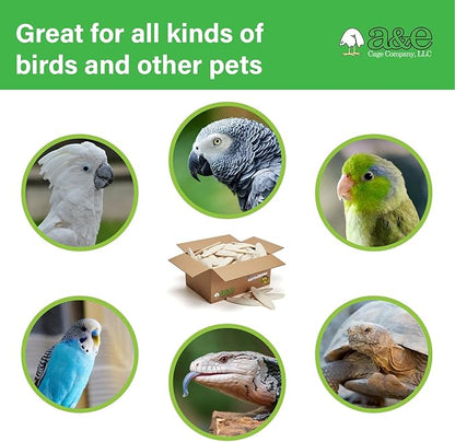 Captain Cuttlebone AE9011 Natural Bird Cuttlebone – 5lb Bulk Box of 4–6" Pieces – Calcium Supplement for Parakeets, Budgies, Finches, Canaries, Lovebirds & Small Birds