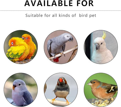 Portable Clear Bird Parrots Transport Cage Window Ventilated Carrier Bag Breathable Bird Carrier Travel Bag