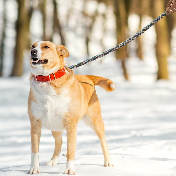 Mile High Life Rope Leash with Genuine Leather Connection, 6 FT/5 FT/4 FT, Heavy Duty Dog Leash for Medium & Large Dogs (Peacock Blue, 48 Inch)