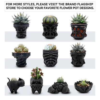 Dak Haan Succulent Pot with Drainage – Indoor Plant Pots, Artistic Design Flower Pots,Personalized Custom Mothers Day Plant Pot, Shallow Succulents Pots Bowls for Home, Office, Weddings & Party Décor