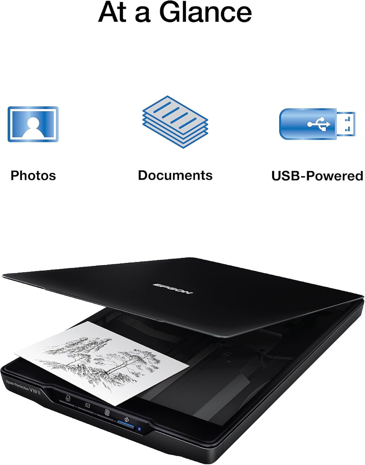 Epson Perfection V19 II Color Photo and Document Flatbed Scanner with 4800 dpi Optical Resolution, USB Power and High-Rise, Removable Lid