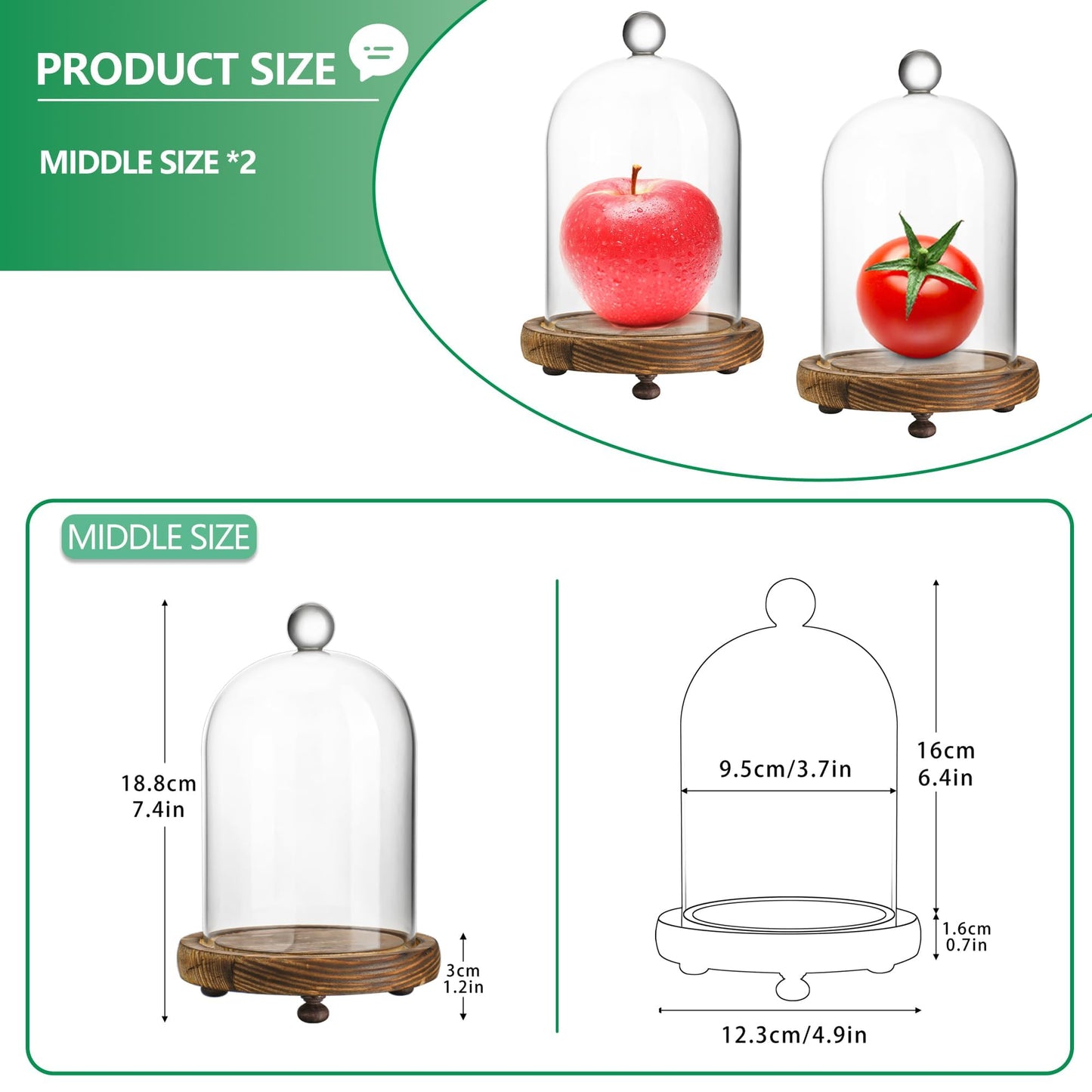 2 Pack Decorative Glass Cloche Bell Jars with Wooden Bases, 6.4" Tall Tabletop Accent Covers for Seasonal Centerpieces, Fairy Lights and Home Decor