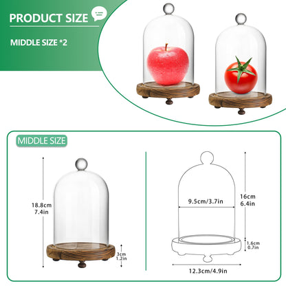 2 Pack Decorative Glass Cloche Bell Jars with Wooden Bases, 6.4" Tall Tabletop Accent Covers for Seasonal Centerpieces, Fairy Lights and Home Decor
