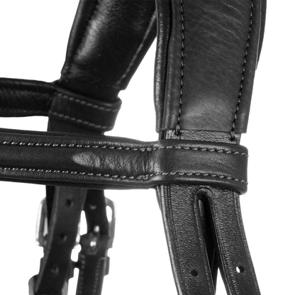 Acavallo Primavera Bridle Calfskin, Full Size, Black