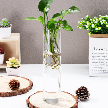 PRETYZOOM Wall Vase for Flowers Hanging Indoor Plants Holder Glass Cylinder Hydroponic Planter Large Tube 2pcs Wall-Mounted Terrarium for Home Décor