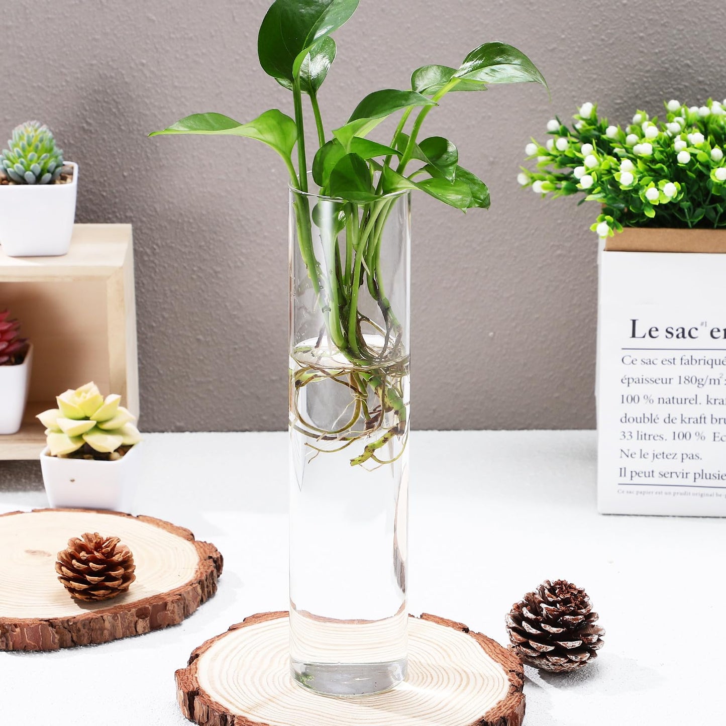 Healeved Wall Hanging Cylinder Glass Vase Set, 2pcs Large Tube Propagation Station for Indoor Plants, Modern Hydroponic Plant Holder, Decorative Terrarium Wall Planter