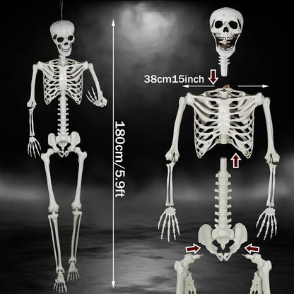 SUNREEK 5.9ft Halloween Full Size Skeleton, Large Human Skeleton Bones with Full Body Posable Joints for Halloween Graveyard Haunted House Spooky Scene Décor (5.9ft)