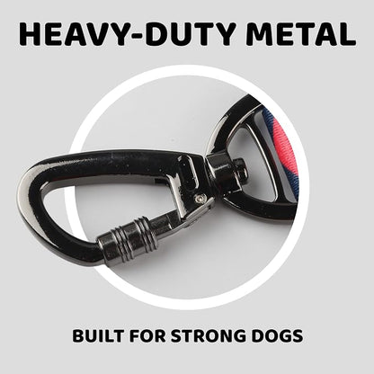 EVERKING Dog Collar & Leash Set for Everyday Walking | Matching adjustable collar and leash set with reflective handle and heavy-duty hardware for comfortable everyday dog walks.