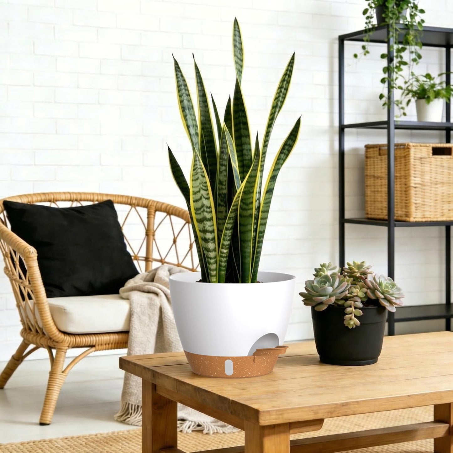 KUGAZ Self Watering Pots with Drainage Holes, 3 Pack 12/10/8 Inch Plant Pots with Water Level Indicator Deep Reservoir, Large Plastic Planter for Indoor Outdoor Plants - White Brown