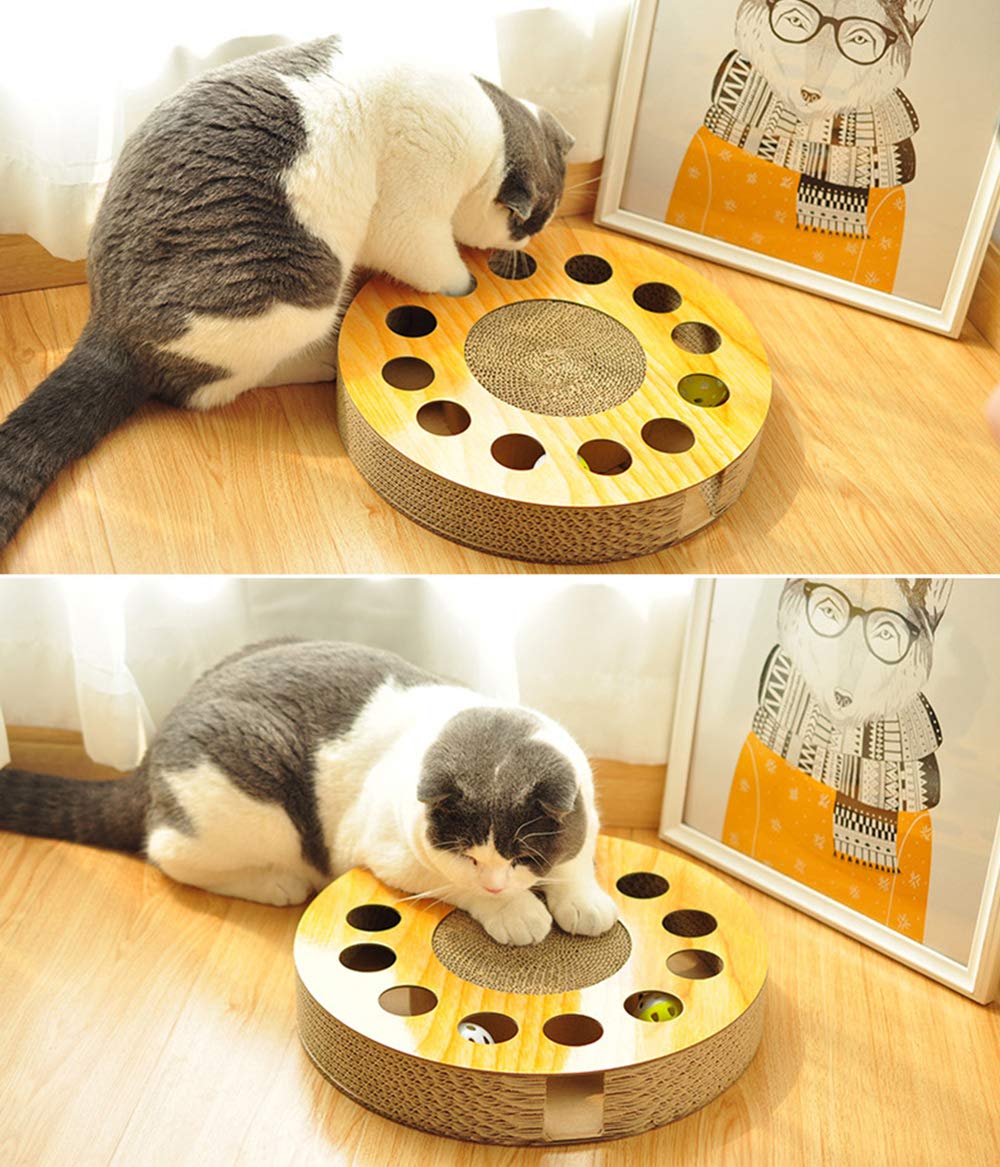 MIAOXSEN Cat Toy with Sturdy Scratching Pads and 2 Jingly Balls for All Ages of Cats