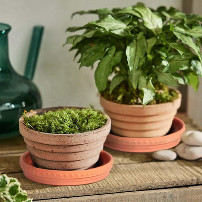 YBX 8-inch Plant Saucer Premium Terracotta Saucer Round Ceramic Plant Trays, Pack of 2 (Nature/Terracotta)