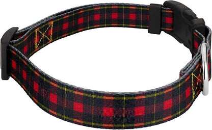 Country Brook Petz - Buffalo Plaid Everyday Dog Collar and Leash - Plaid and Argyle Collection Featuring Charming Designs (1 Inch, Medium)
