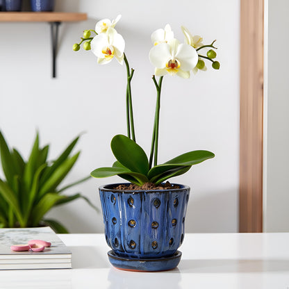 Grdthzey Orchid Pots 4.9 inch Round Ceramic Orchid Pots with Holes Set of 2 (SkyBlue+White with Lemon Green)