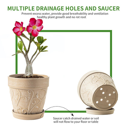 Melphoe Plant Pots Indoor with Drainage & Saucer, 2Pack 8 inch Flower Pots Outdoor Planters for Indoor Plants Garden Home Decor Cactus Succulent, Rigid Plastic (Imitation-Terracotta) Vine-Embossed