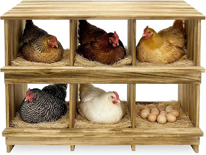6 Holes Gold Standard Chicken Nesting Box for Laying Eggs, Two-Tier Wooden Nesting Boxes for Chickens, Farmhouse Series Laying Box for Hens, Ducks and Birds