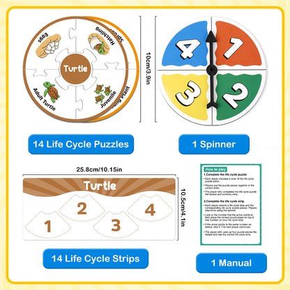 Edulok Life Cycle Toys for Kids, Toddler Puzzles, Preschool Science Kits for Kids 3-5, Kindergarten Learning Activities, Learning Education Toys, PreK Classroom Essentials, Homeschool Supplies