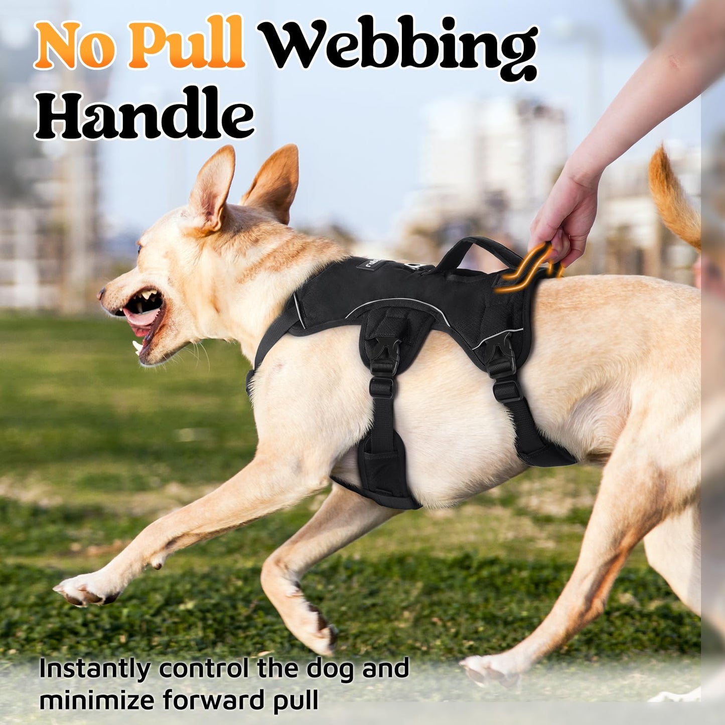 rabbitgoo Escape Proof Dog Harness, Soft Padded Full Body Pet Harness, Reflective Adjustable No Pull Vest with Lift Handle and Leash Clip for Large Dogs Walking Hiking Training, L, Black