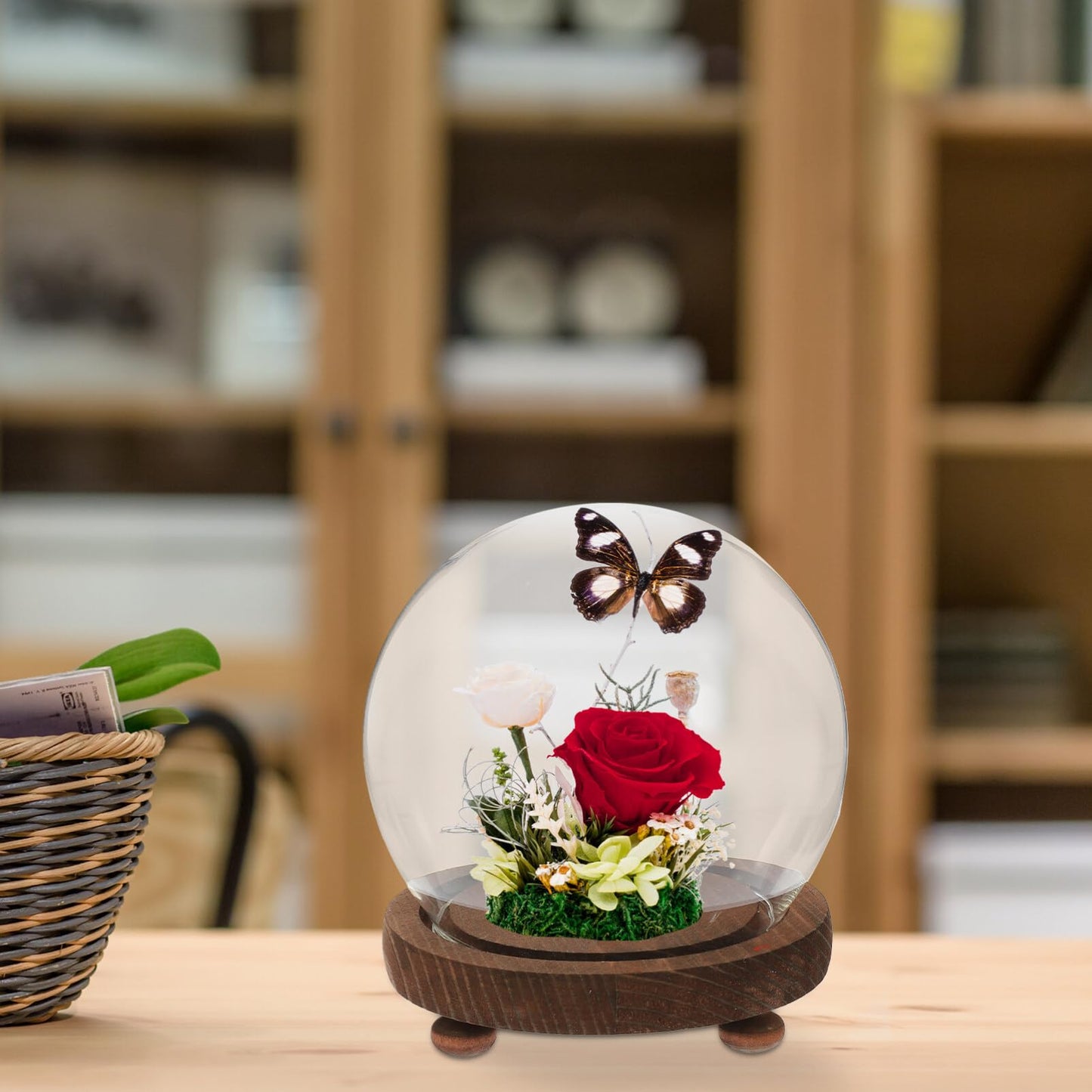 HOMSFOU Glass Display Dome with Wood Base 5.3 Inch Clear Glass Cloche Terrarium Globe for Miniature Plants Preserved Flowers and Home D Cor