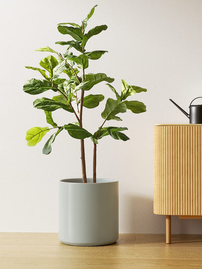 LE TAUCI 12 Inch Pot for Plants, Ceramic Planters for Indoor Plants, Mid-Century Modern Cylinder Flower Pots with Drainage Hole, Fits Fiddle Leaf Fig & Monstera, Home Decor, Mist Gray
