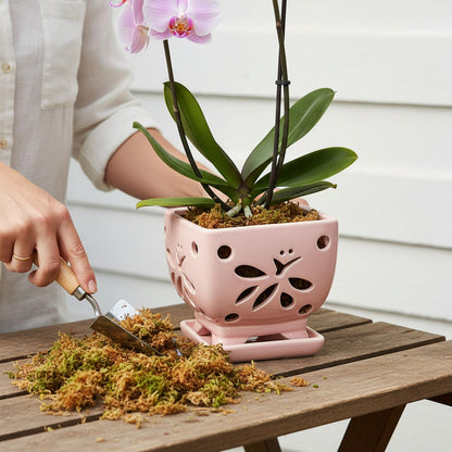 Grdthzey Orchid Pots with Holes Square Ceramic Orchid Planter Pots 5.5 inch (Pink)