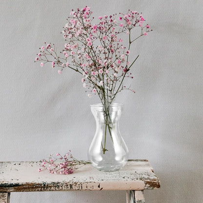 Yardenfun Transparent Glass Craft Vase 5.11X3.54X2.75In Small Flower Container Decorative Planter Inserts for Home Table and Wedding Centerpieces