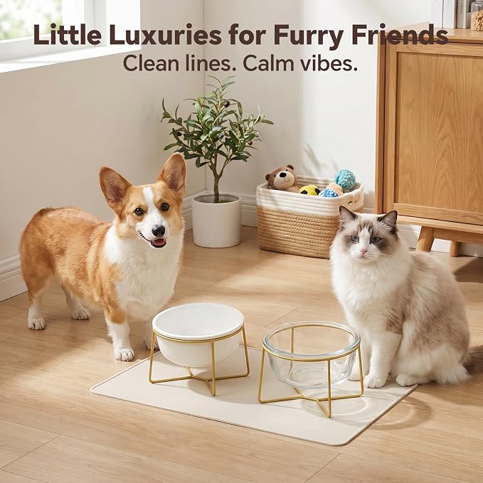 Large Glass Tilted Elevated Cat Dog Bowl Raised Cat Food Water Bowl Dish Pet Comfort Feeding Bowls with Gold Iron Stand