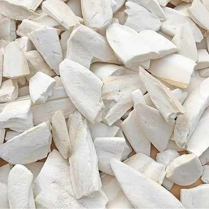 Bird Cuttlebone for Parakeets Cuttlebone for Birds - Natural Cuttlefish Bone Bulk Chew Toy Bird Bites Calcium Stone for Canaries Tortoises,Snails,Reptiles,Parrots,Cockatiel