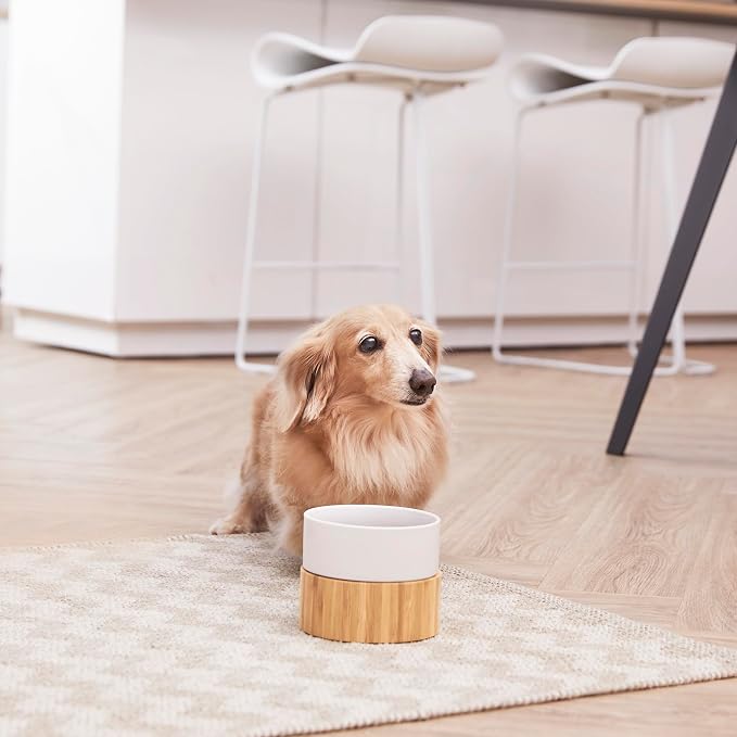 Teamson Pets Billie Elevated Ceramic Pet Bowl with Bamboo Stand,Brown