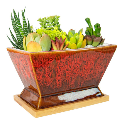ARTKETTY Succulent Pots - 7 Inch Large Plant Pot with Drainage Tray, Shallow Ceramic Pots for Indoor Plants, Modern Cactus Bonsai Plant Container Decorative Home Office