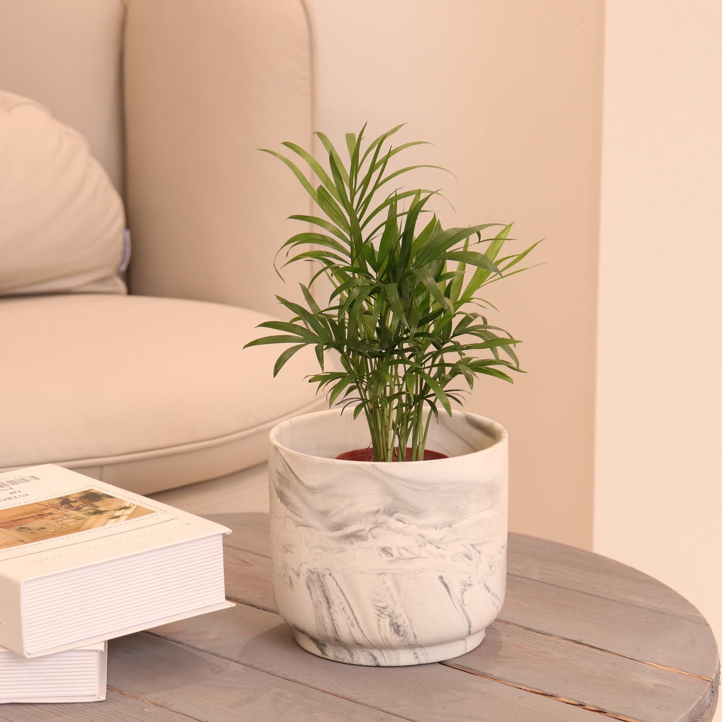 Padolitlay Ceramic Plant Pot 6 Inch Marble Planter Pots with Drainage Holes & Mesh Pads, Modern Plant Pot for Indoor Outdoor Plants-Cylinder Round Planter Pot
