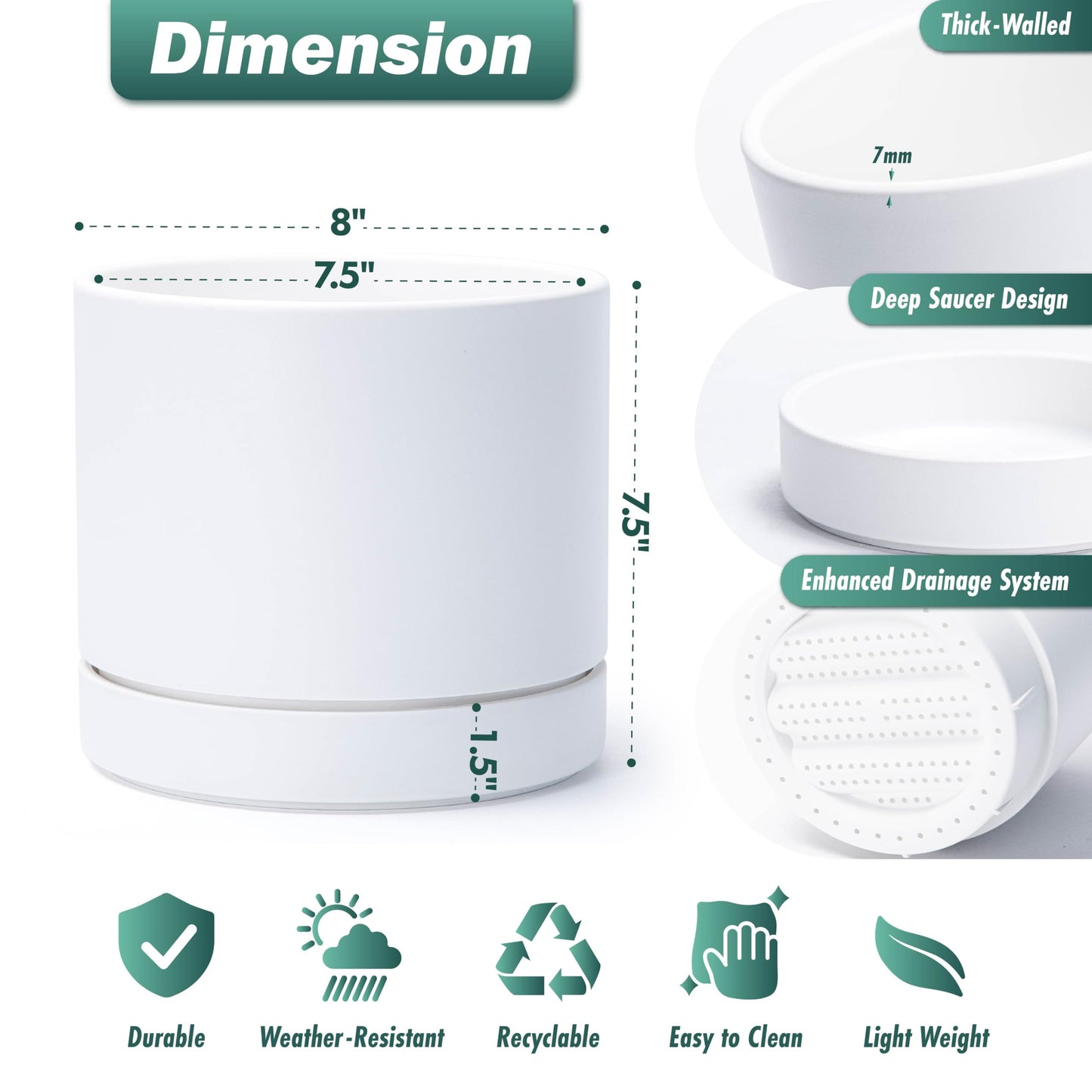 Phoenix Vine 8 Inch Planter Pot with Drainage Hole & Saucer, Deep Water Catch Tray, Straight Cylindrical Round Pot for Plants, Matte White, Pack of 1, 23-B-T-1