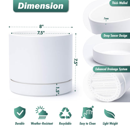 Phoenix Vine 8 Inch Planter Pot with Drainage Hole & Saucer, Deep Water Catch Tray, Straight Cylindrical Round Pot for Plants, Matte White, Pack of 1, 23-B-T-1