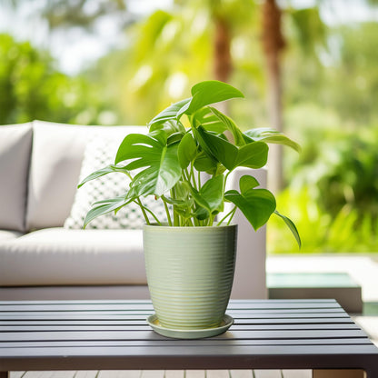 EPFamily Ceramic Pots for Plants - Modern Round 8 Inch Planter with Drainage Hole and Plant Saucer for Flower Indoor Outdoor, Home Decor, House Warming Gifts, Green