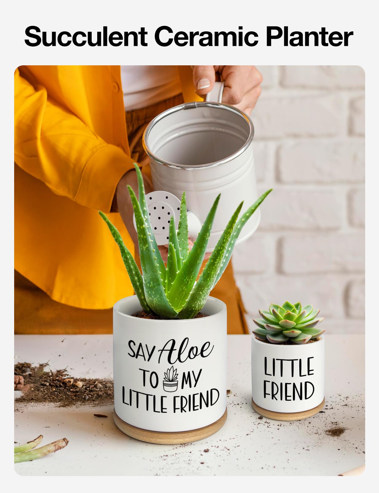 Cgvovgr Say Aloe to My Little Friend Small Planter Pot, Funny Succulent Planter Pots Set of 2, Windowsill Decor Indoor, Small Succulent Pots for Women Plant Lovers, 3.5 inch (Plant Not Included)