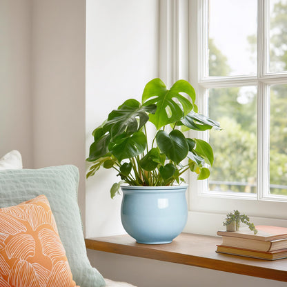 Teagas Ceramic African Violet Pots for Indoor Plants, 6 Inch Self Watering Planters with Absorbent Inner Pot, Self Watering Plant Pot, Ceramic Flower Pots, Desk Decor, Housewarming Gifts, Light Blue