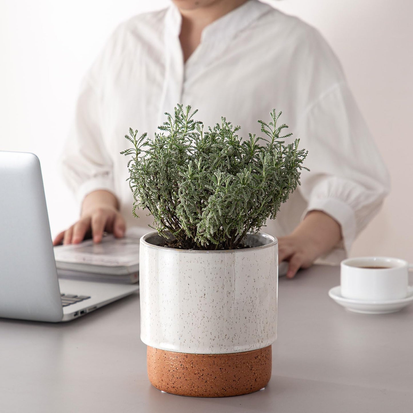 Chubacoo Self Watering Plant Pot: 6 Inch Ceramic Planter with Drainage Hole & Water Storage Plus - Flower Pot for Indoor & Outdoor Plants (Retro Grey, Small)
