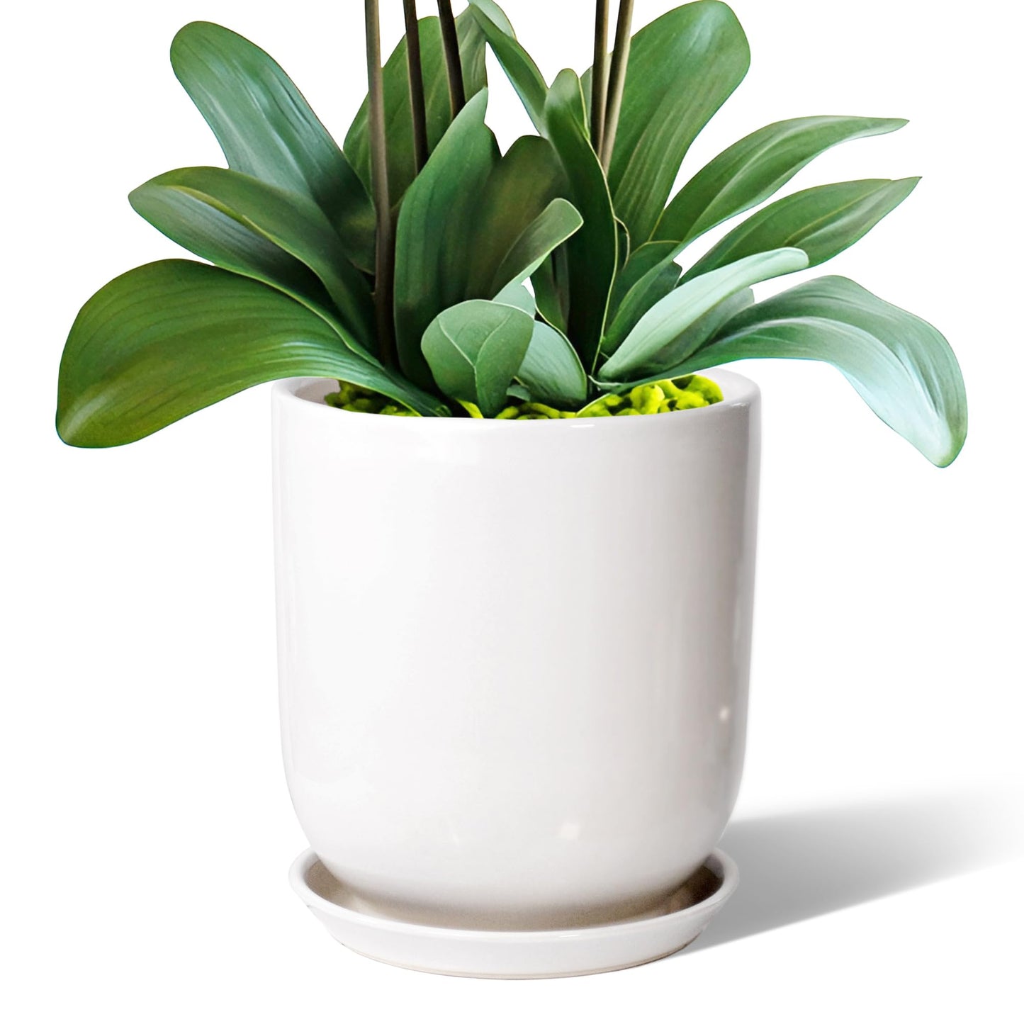 Farsun 8in Plant Pot，Ceramic Plant pots，Ceramic Planter for Indoor Plants Outdoor,Mid-Century Modern Home Decor, Modern Flower Pot, Large Plant Pot with Drainage Hole and Saucer