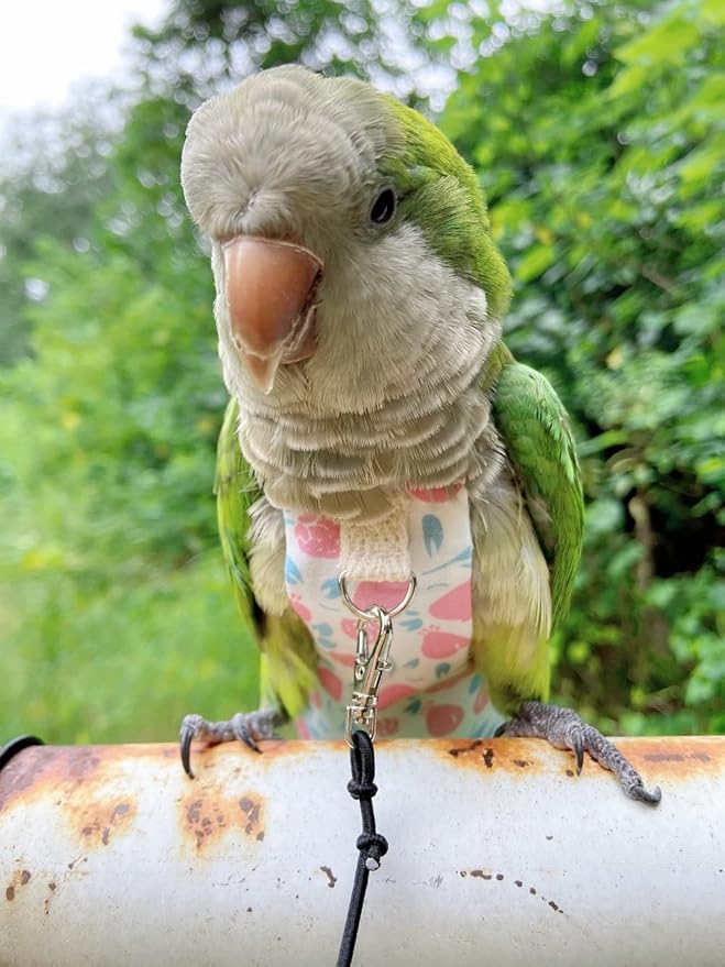 Bird Diaper Harness Flight Suit Clothes, Parrot Flight Suit with Leash, Bird Flying Clothes with Rope and Handle for Outdoor Activities Training (Pink with Leash,Large)